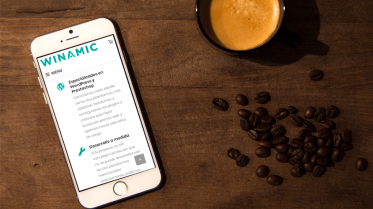 Winamic presenta nueva web