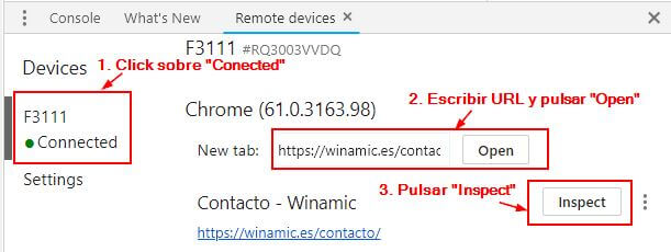 Insertar URL Inspeccionar