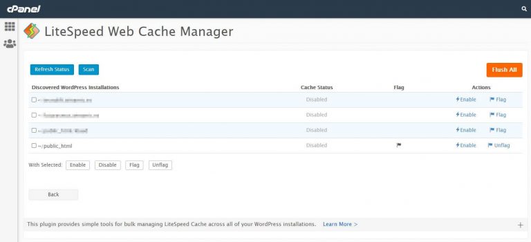 Panel litespeed caché